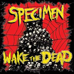 Specimen : Wake the Dead